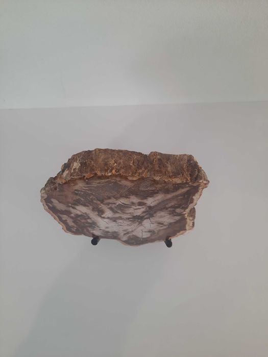 Peça decorativa de madeira petrificada.
