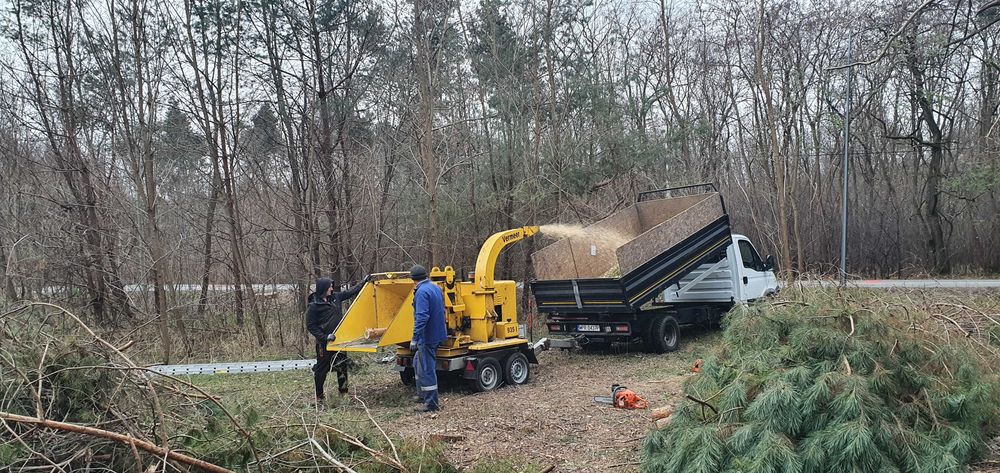 Wycinka Drzew Usuwanie Karp Podnośnik