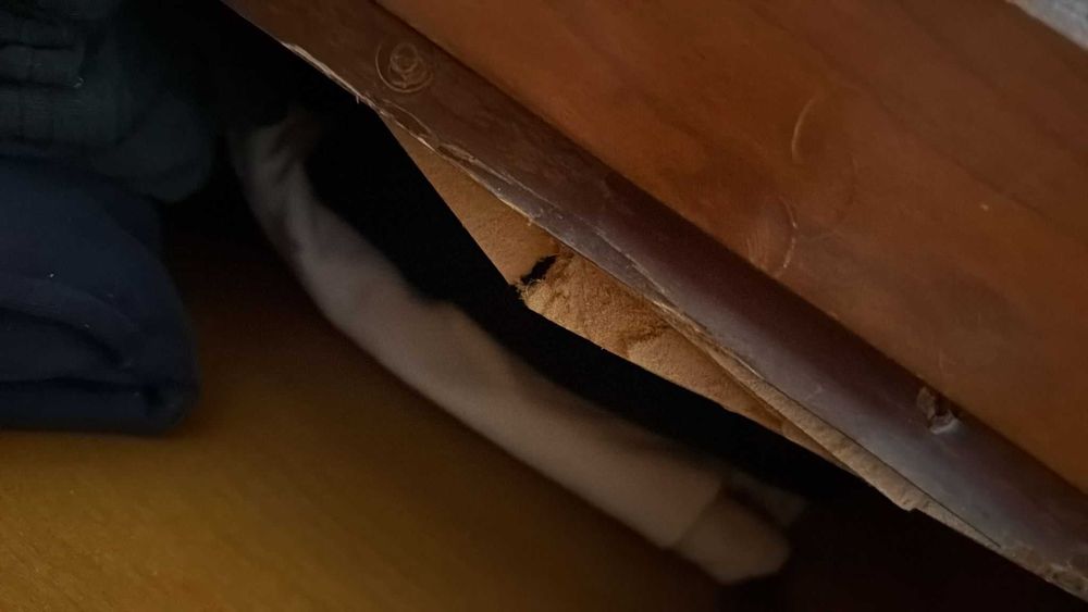 Doação de cama de casal