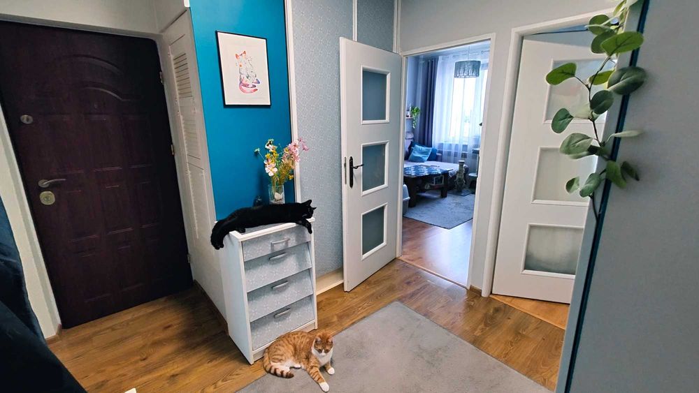 3-pokojowe mieszkanie 58 m² | Centrum Bytomia | bez pośredników