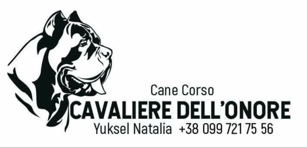 За щастям до нас!