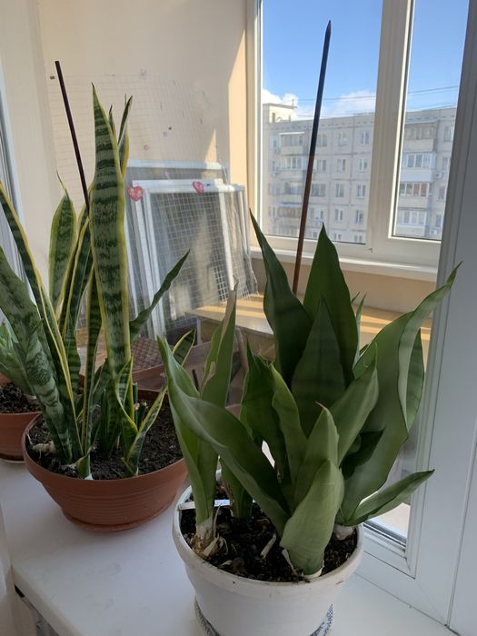 Оренда 2х кімн., ст. м Оболонь, Героів полку Азов 13-А,  ТЦ Lake plaza