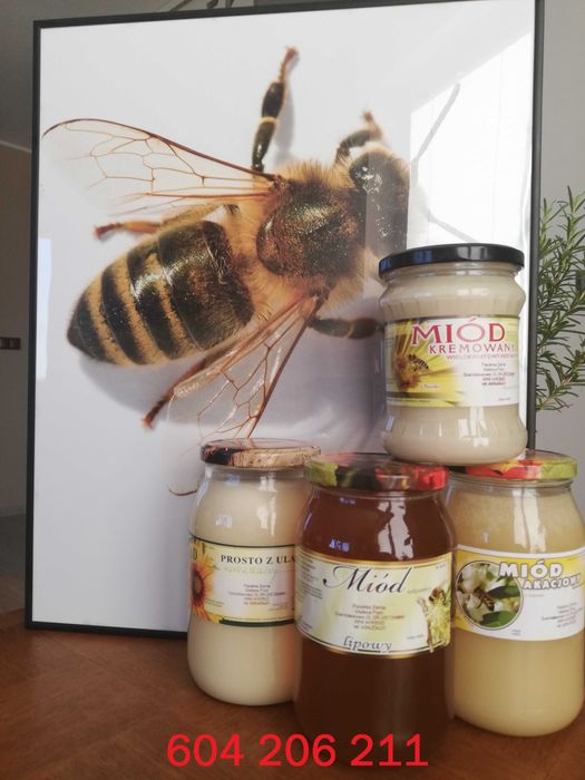 miód z własnej pasieki