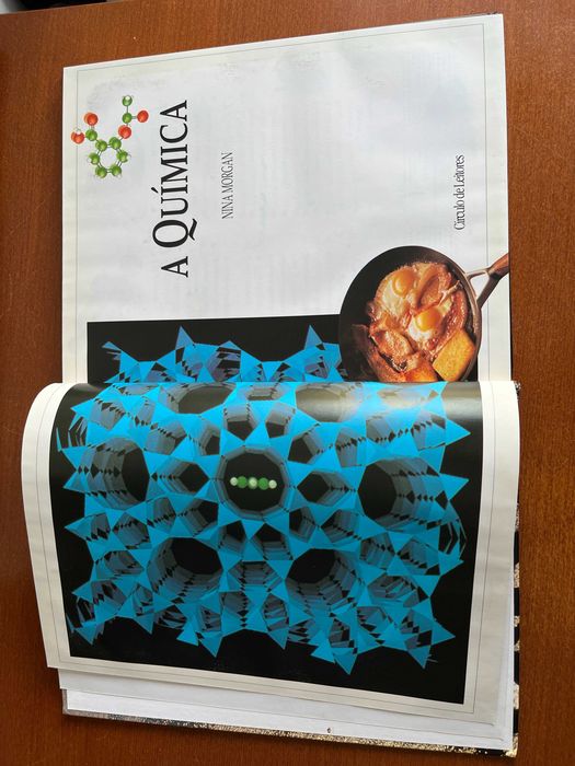 A Química – Nina Morgan