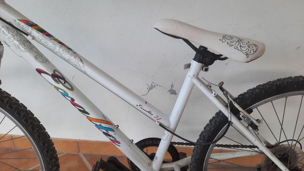 Bicicleta esmalta 24