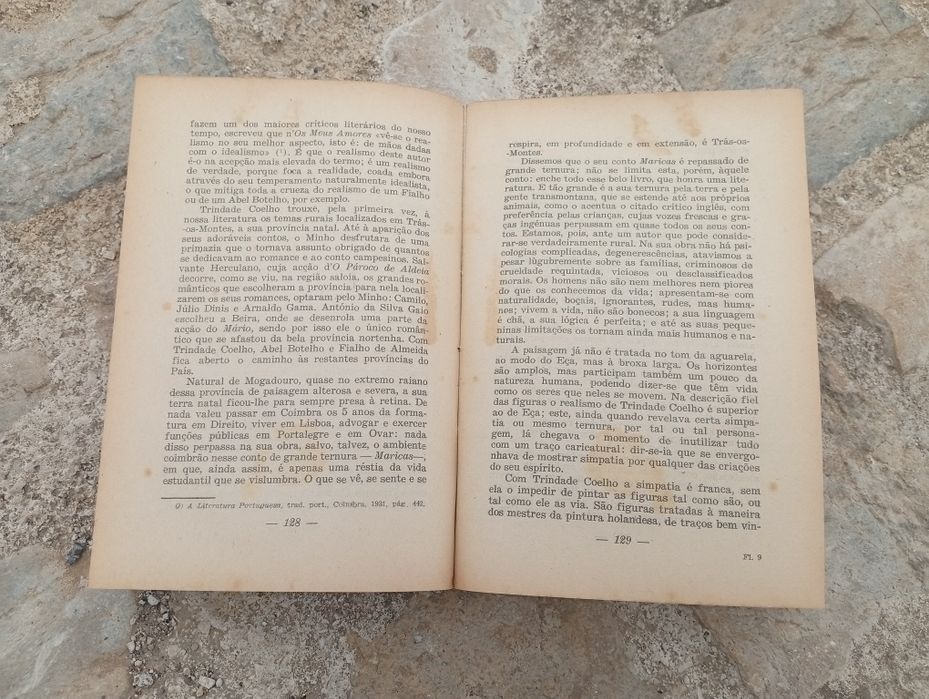 livro "A Vida Rural no Romance Português"