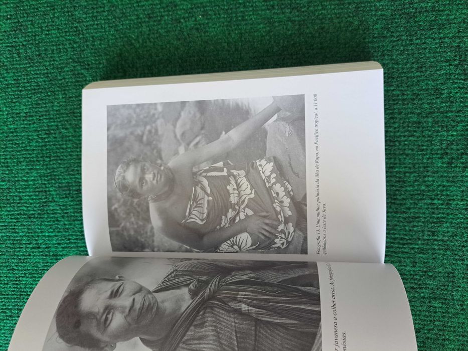 Armas, Germes e Aço - Jared Diamond
