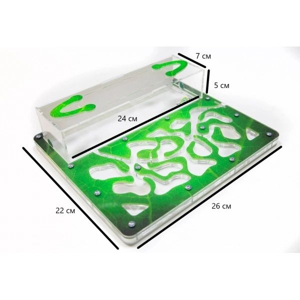 Мурашина ферма Стандарт Амазонка