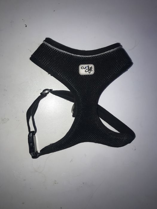 Шлейка для собак Curli розмір с м
