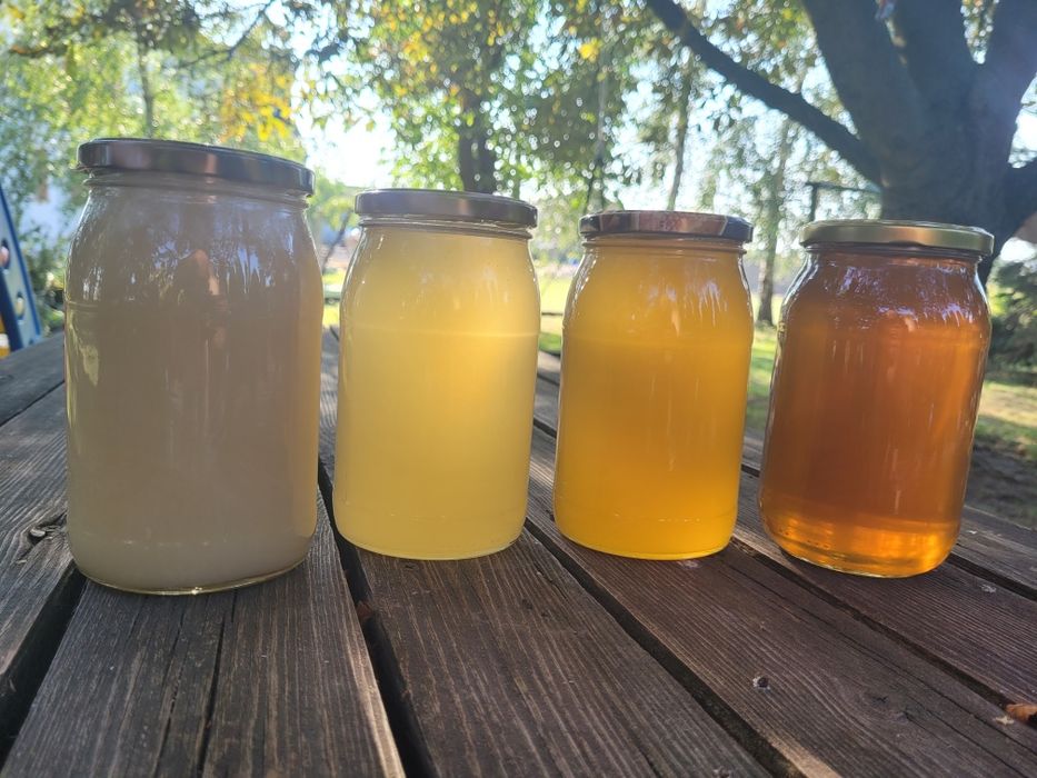 Miód rzepak, akacja, lipa, nektarowo-spadziowy