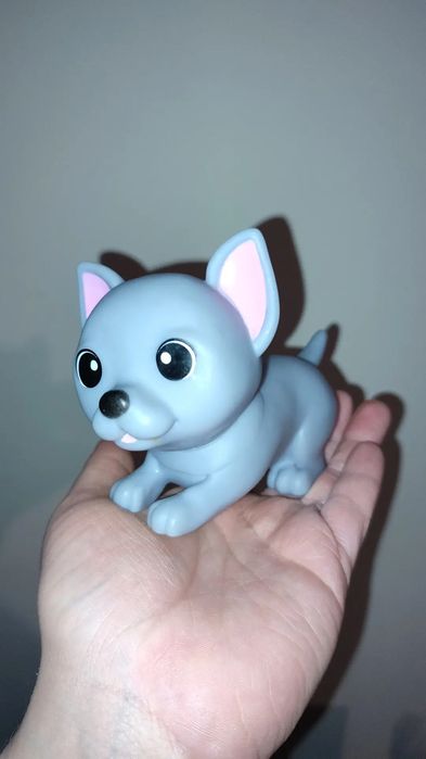 Piesek z transporterem