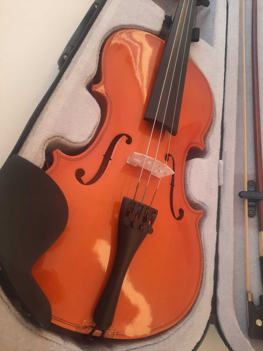 Violin with case