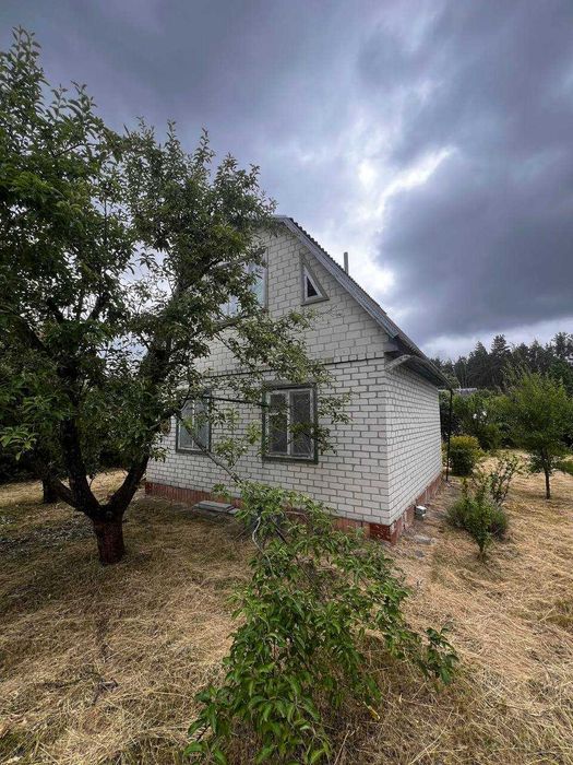 Продаж дачі в с. Будище кооператив Дружба