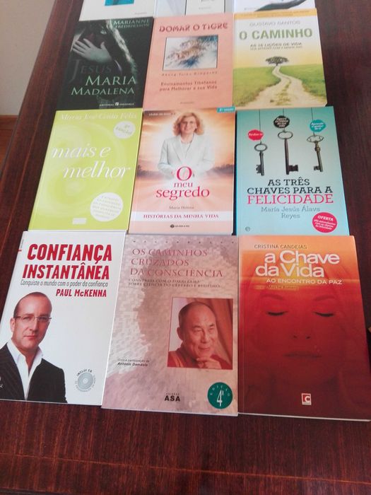 Livros Auto-Ajuda e Desenvolvimento Pessoal