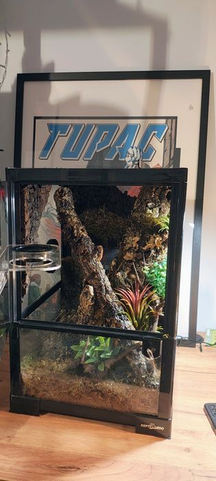 Sprzedam kompletne terrarium 30x30x45