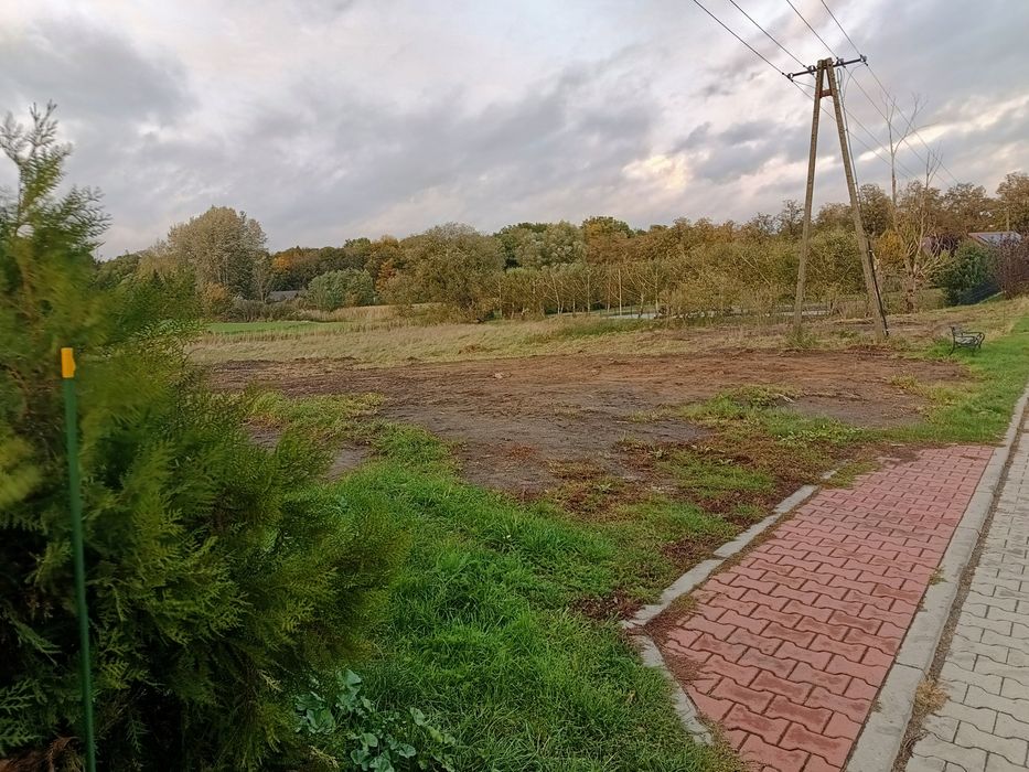 Działka budowlana Biezdrowo gmina Wronki - Widok 2