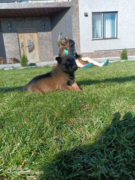 малінуа документи всі впорядку