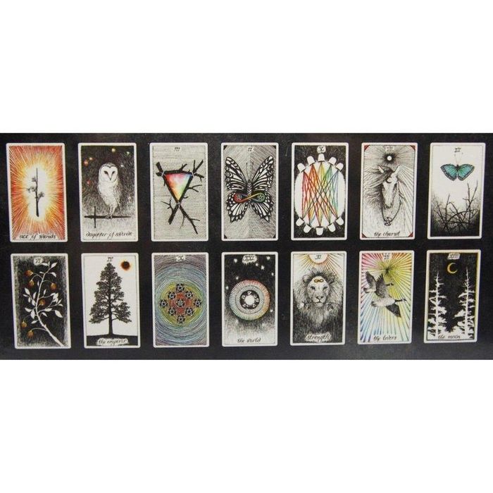 Tarot The Wild Unknown baralho + guia - Kim Krans - NOVO PORTES GRÁTIS