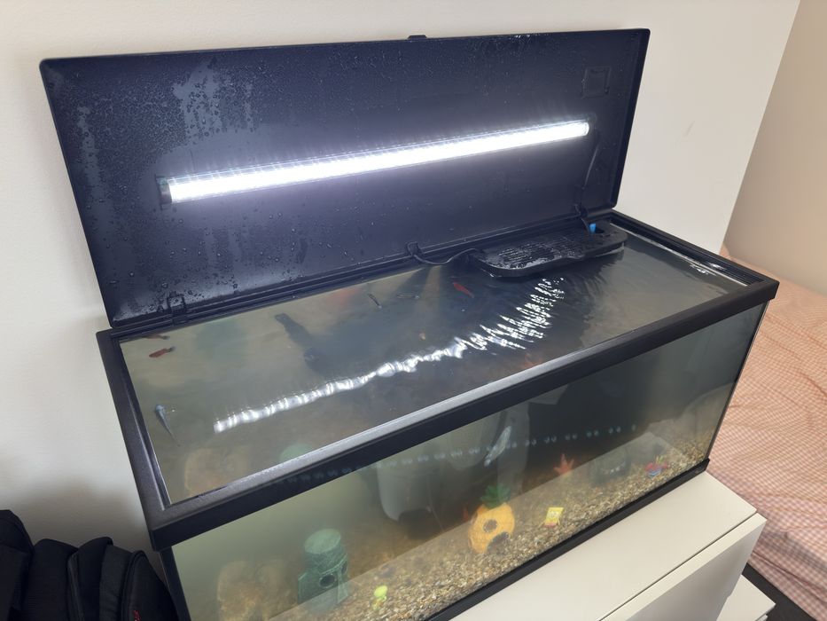 Aquário retangular 85 L com extras