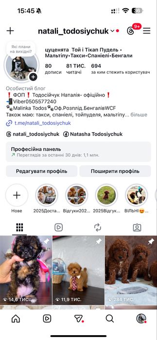 ‼️ Дівчинка мікро ‼️ міні мальтіпу