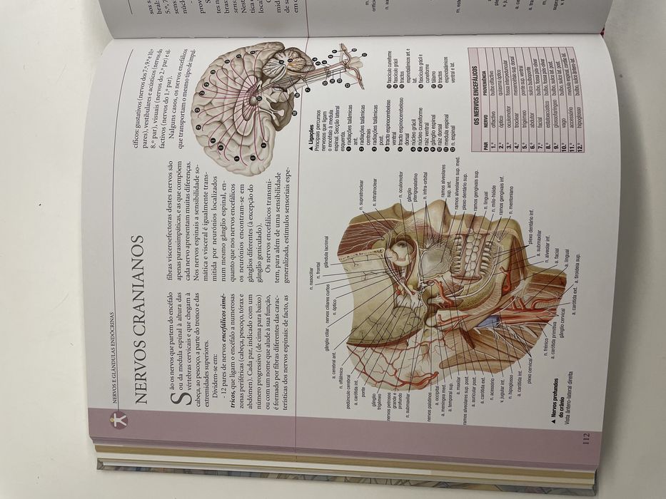 Livro ''Atlas Ilustrativo de Anatomia'' novo e nunca utilizado