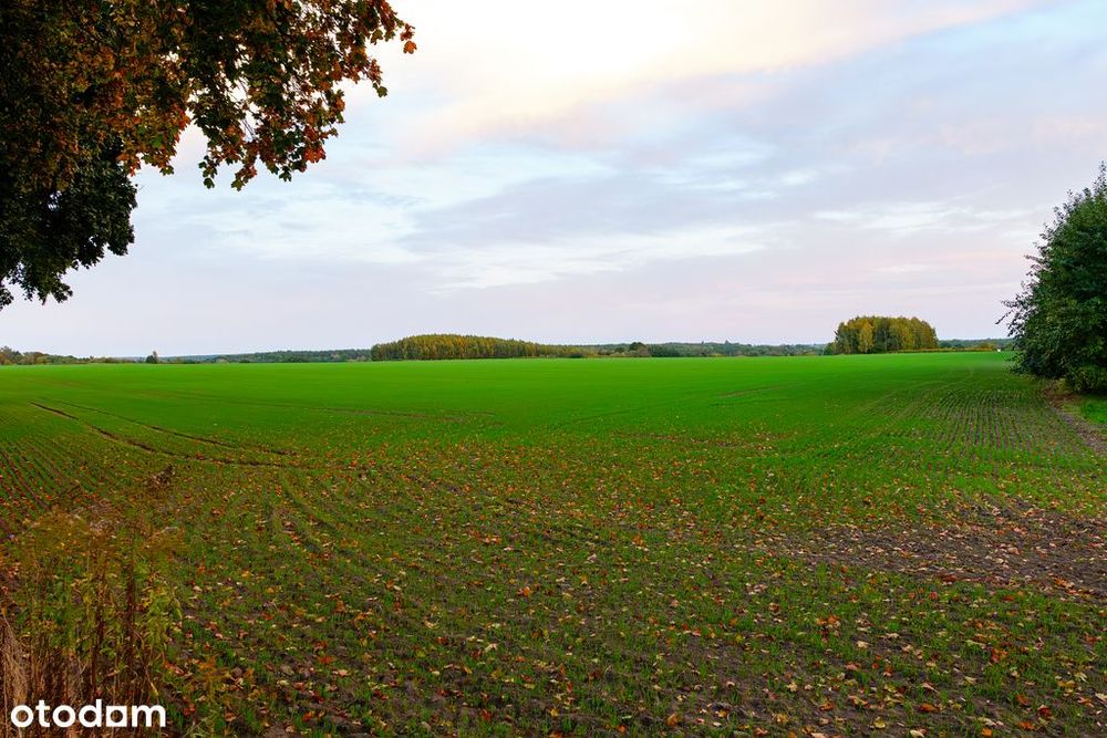 Sławno - teren pod osiedle
