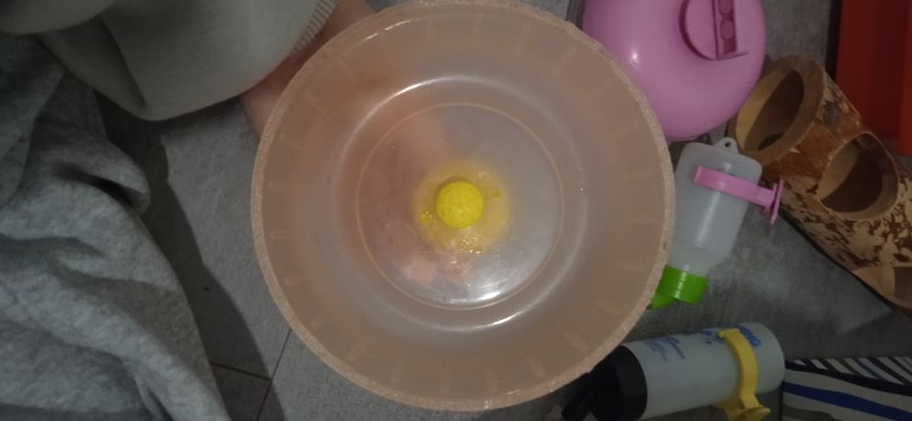 Klatka dla chomika z dodatkami