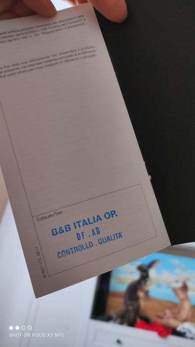 Кресло Sina от B&B italia