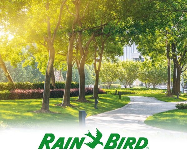 Automatyczne nawadnianie ogrodu