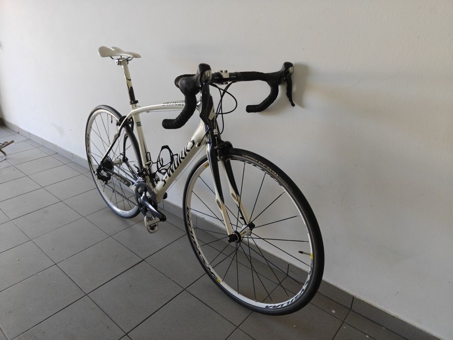 Specialized Roubaix SL2 Saxo Bank
