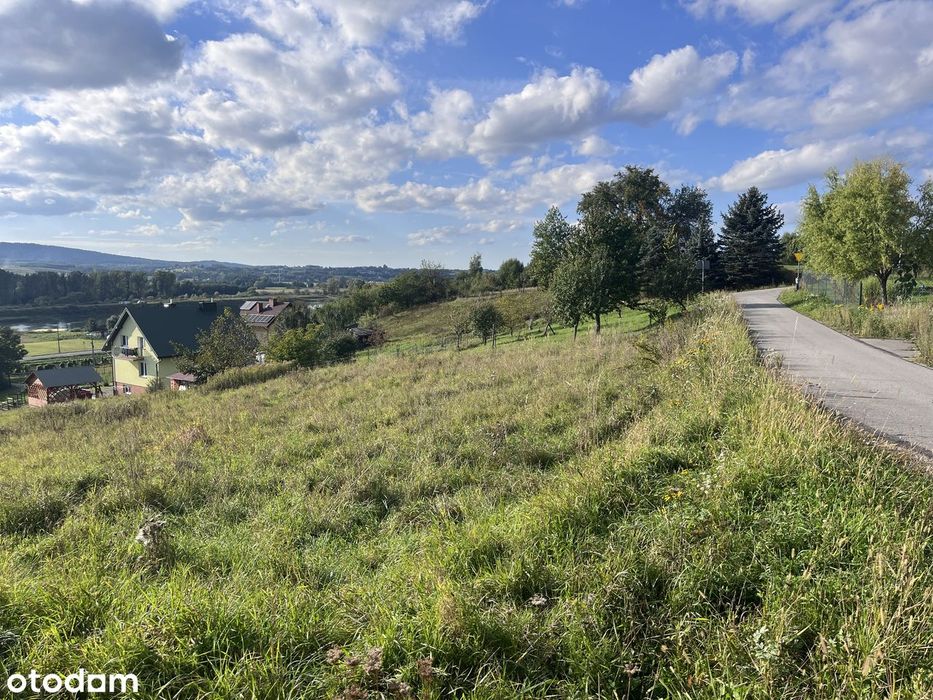 Działka budowlana Kołaczyce 3200 m²|Pozwolenie na 2 domy|blisko Jasła - Widok 3