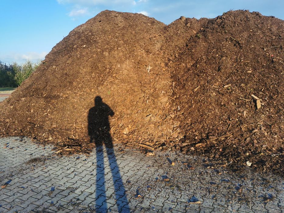 Kora trociny  pod borówkę amerykańską   TRANSPORT