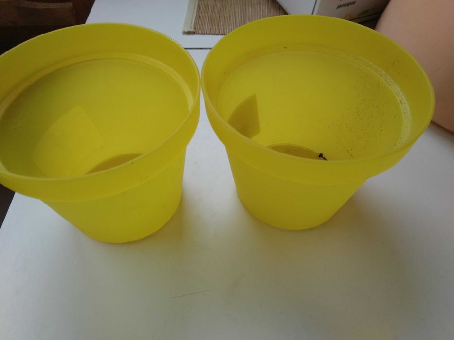 горшок для цветов с желтым кашпо поддоном комплект