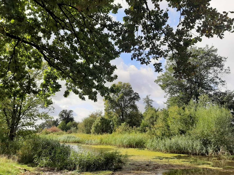 Domek nad rzeką Pilicą. Białobrzegi. Kajaki,rowery,grzyby wędkowanie. 40 min od Wawy.