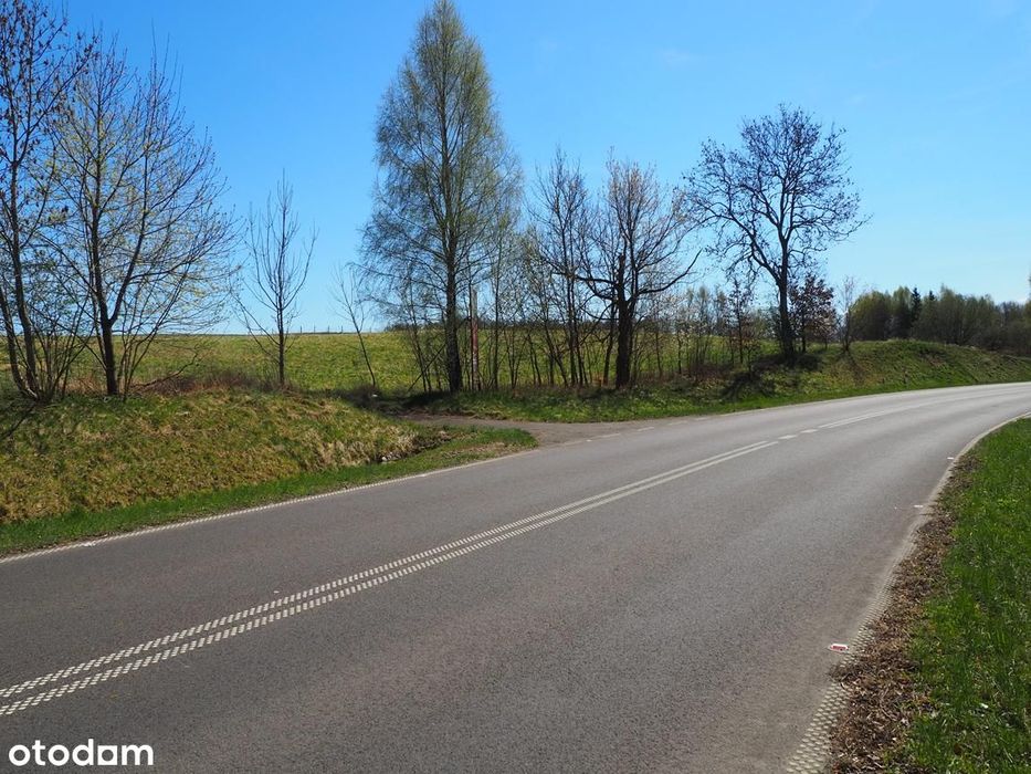 Działka inwestycyjna w świetnej lokalizacji! - Widok 6