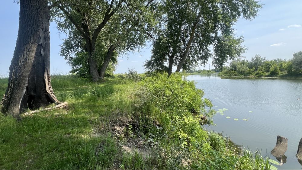 Продаж ділянки  від 10 га , 1-ша лінія до води с. Погреби