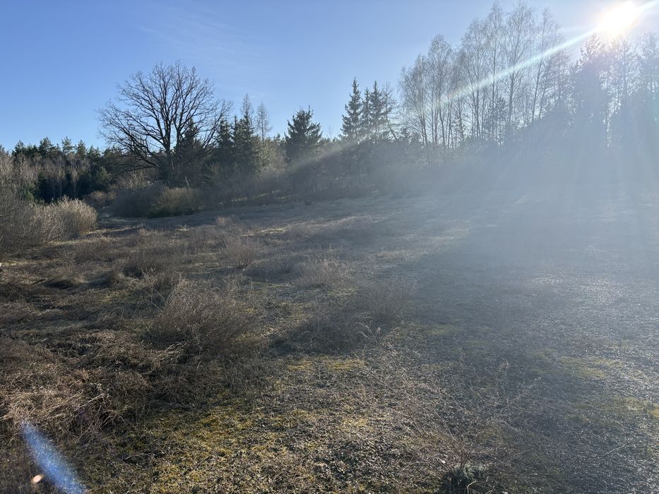 Działka z warunkami zabudowy 3000 m - Widok 6