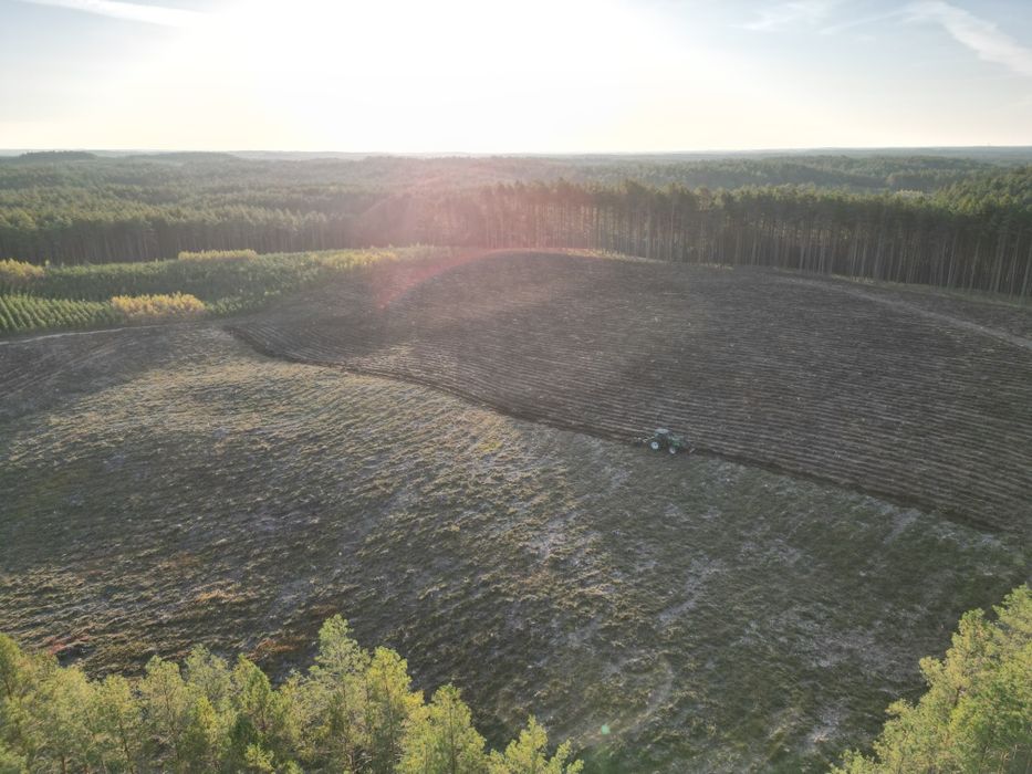Profesjonalne Usługi Leśne  – Bytów I okolice