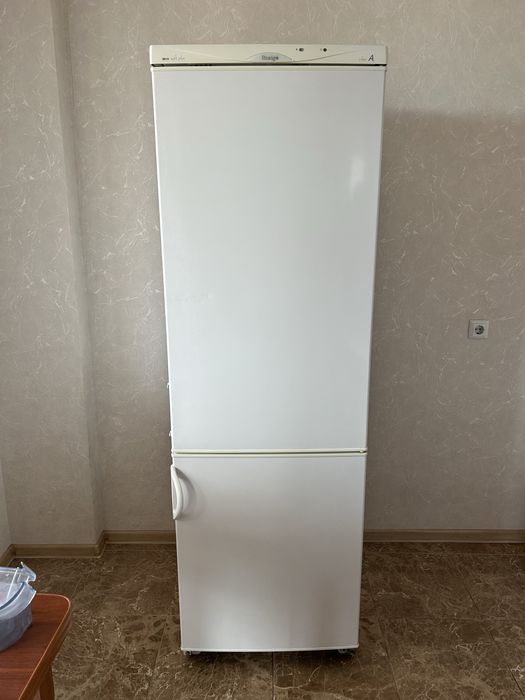 Холодильник Snaigė RF360