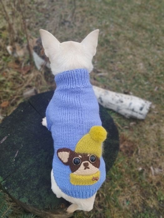Вязаные свитера для маленьких питомцев
