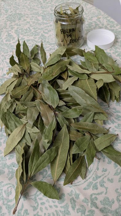 Folhas de Louro Secas Naturalmente - Indicadas para Cozinhar