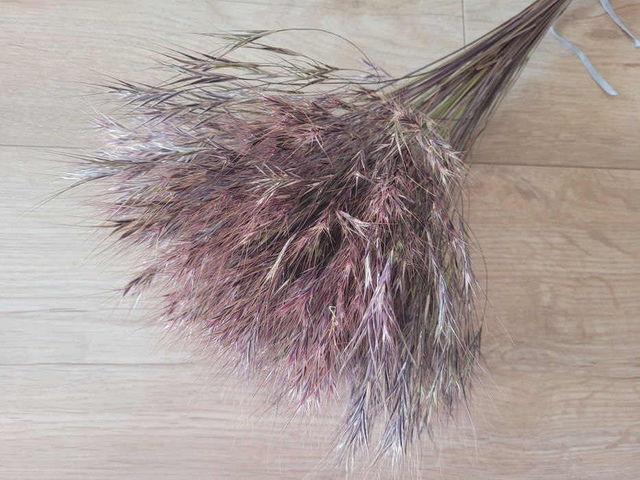 BUKIETY boho suszki kwiaty suszone do DIY