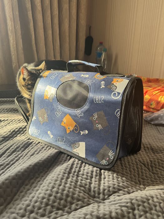 Сумка переноска для котиків і песиків (маленького розіру)