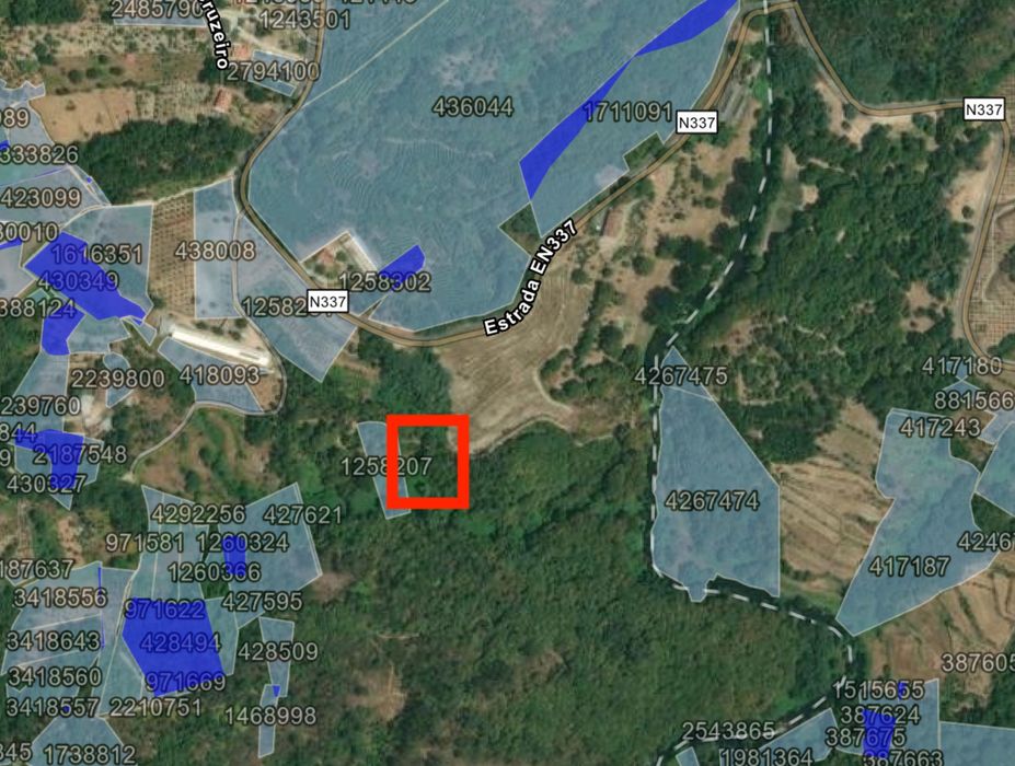 Terreno Rústico de Grande Dimensão (3,05 ha) em Boco – Parada de Gonta