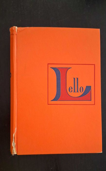 Dicionário Prático Ilustrado da Lello