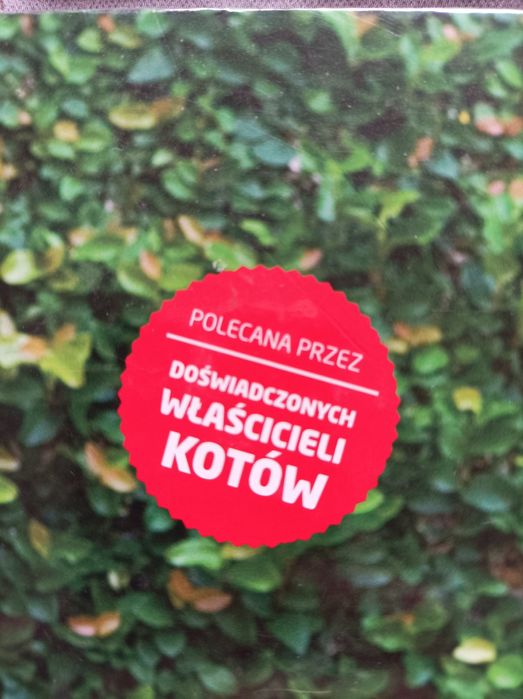 Mój kot i ja Jak ułożyć stosunku z kotem