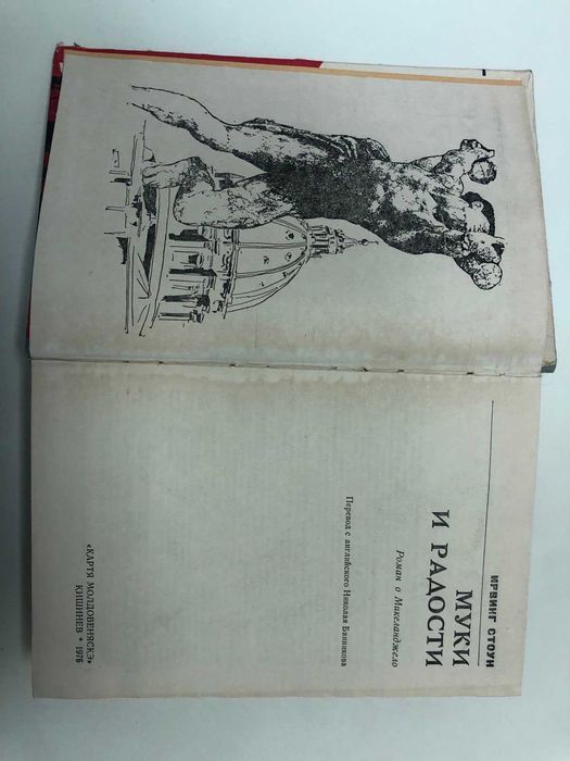 Ирвинг Стоун - Муки и радости