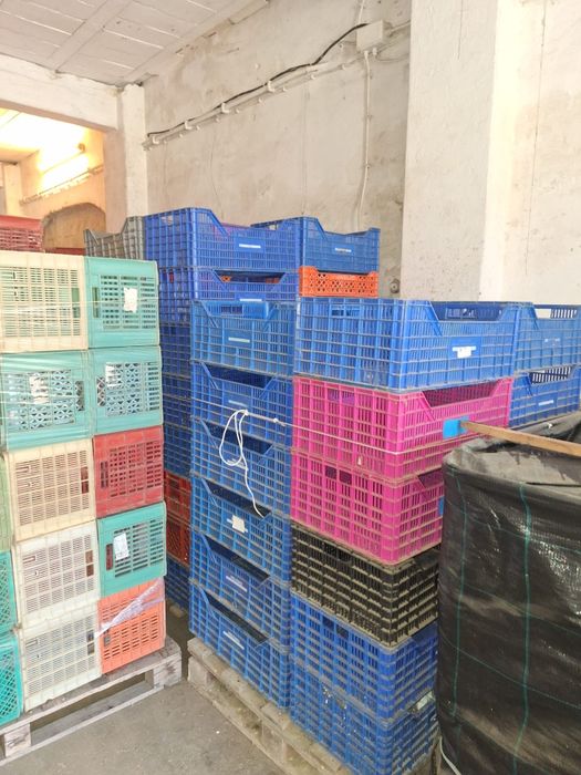 Caixas para venda