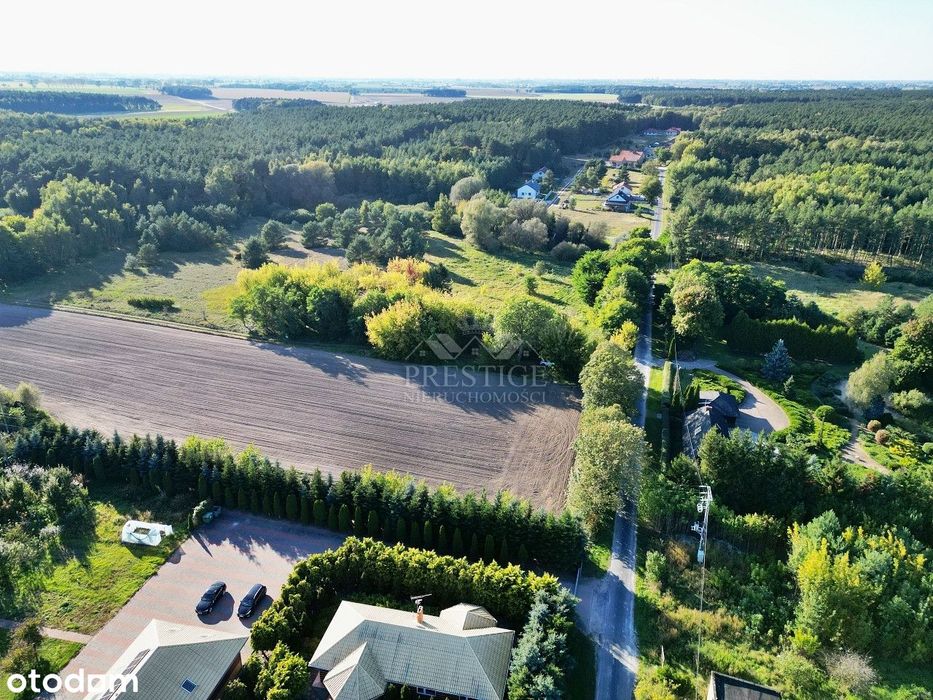 Sielskie działki z warunkami zabudowy, przy lesie - cisza i spokój