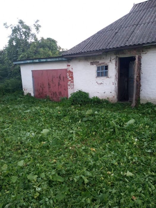 Продам  будинок в с Озеряни